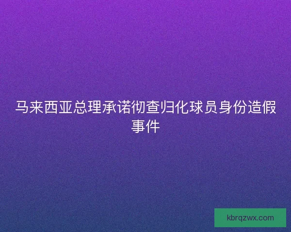马来西亚总理承诺彻查归化球员身份造假事件