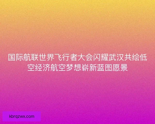 国际航联世界飞行者大会闪耀武汉共绘低空经济航空梦想崭新蓝图愿景